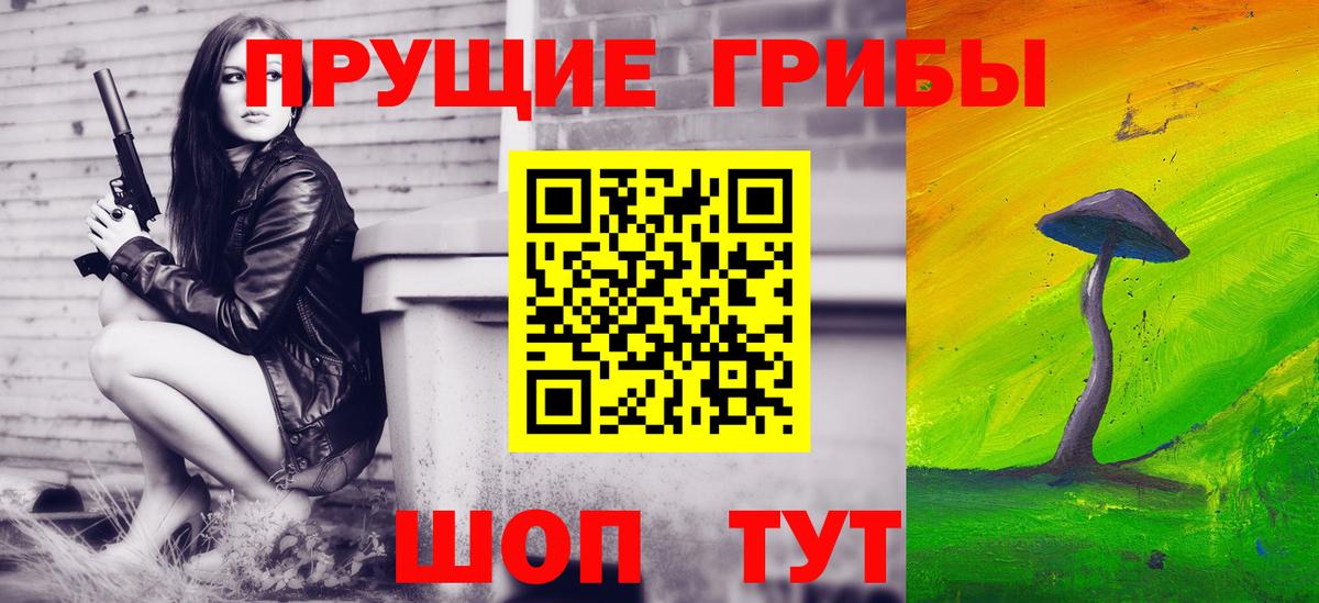 Псилоцибиновые грибы прущие грибы  Вход с VPN  Псилоцибиновые грибы Psilocybine cubensis  Сосновый Бор 